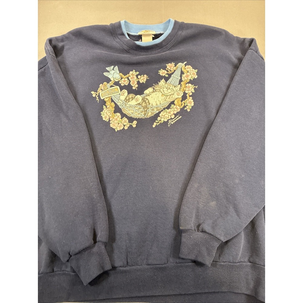 Morning Sun Sweatshirt Women Blue Cat Vintage Pullover Do Not Disturb B Hamer 3X